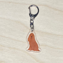 Load image into Gallery viewer, English Cocker Spaniel (red) acrylic zipper pull
