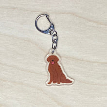 Load image into Gallery viewer, Golden Retriever (#6) acrylic zipper pull
