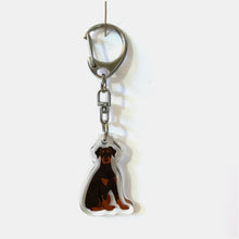 Load image into Gallery viewer, Doberman Pinscher (natural ears) acrylic zipper pull
