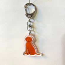 Load image into Gallery viewer, Vizsla acrylic zipper pull
