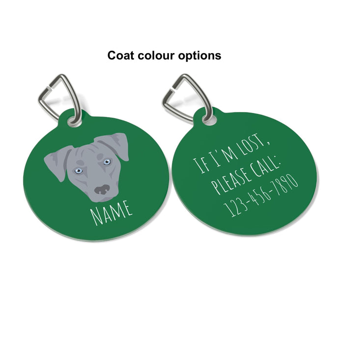 Blue Lacy ID Tag Personalized