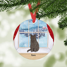 Load image into Gallery viewer, Grey Domestic Shorthair Cat ornament personalized
